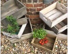 Fruit & vegetable boxes & baskets